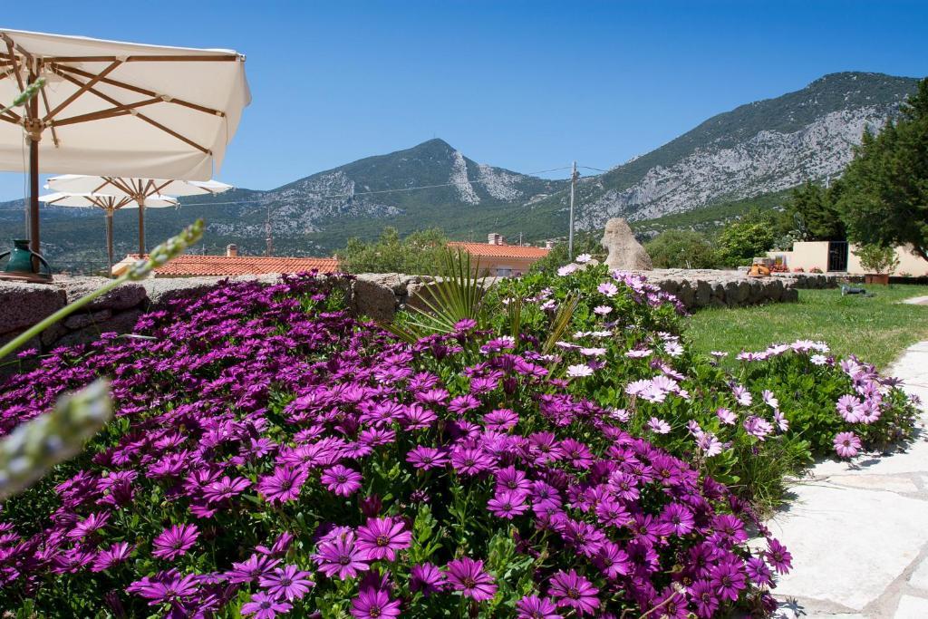 Hotel Villa Gustui Maris Cala Gonone Eksteriør bilde